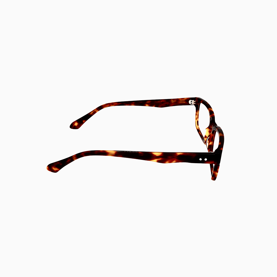 Southampton - Tortoise